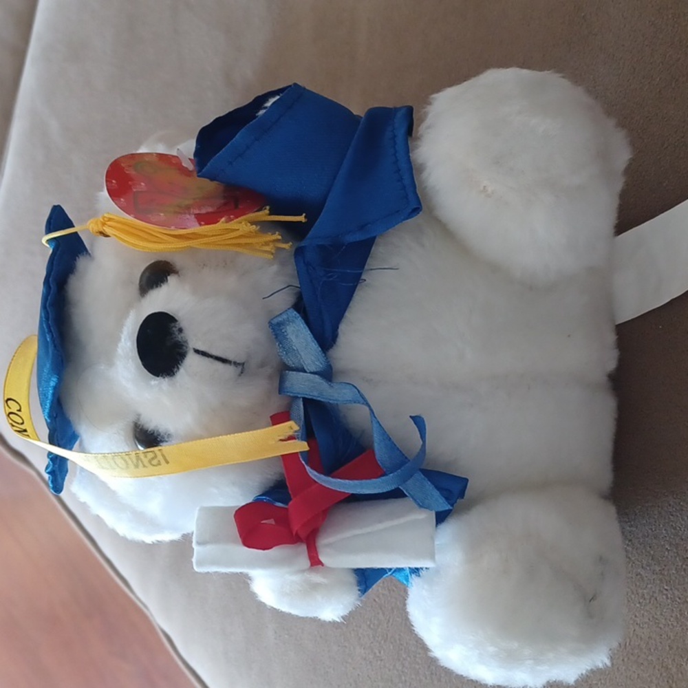 Graduation bear plush white - Picture 11 of 12